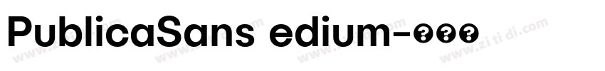 PublicaSans edium字体转换
